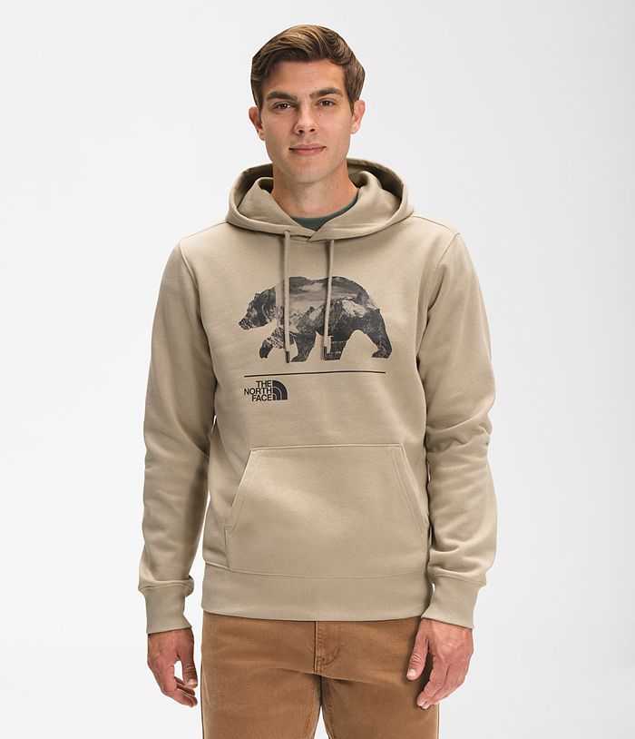 The North Face Hoodie Heren Bearscape Pullover OXMH93150 - Beige